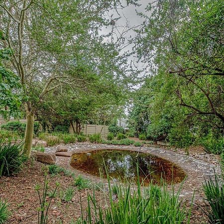 جوهانسبورغ Wild Olive Executive Suite المظهر الخارجي الصورة