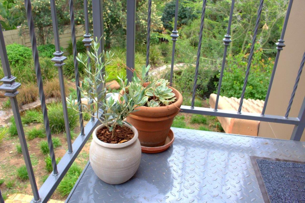 جوهانسبورغ Wild Olive Executive Suite المظهر الخارجي الصورة